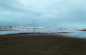 سواحل دریای خزر